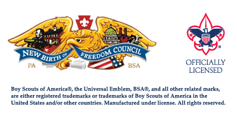 New Birth of Freedom Council - Wizard Safari Staff